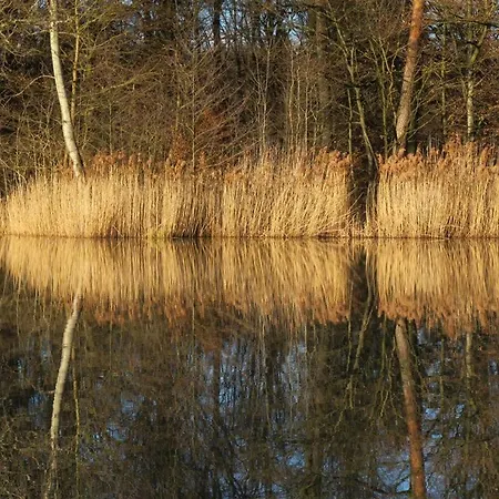 Apartment Landpension Wachtkopf *