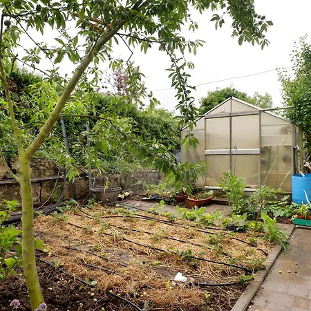 Landpension Wachtkopf Apartment *