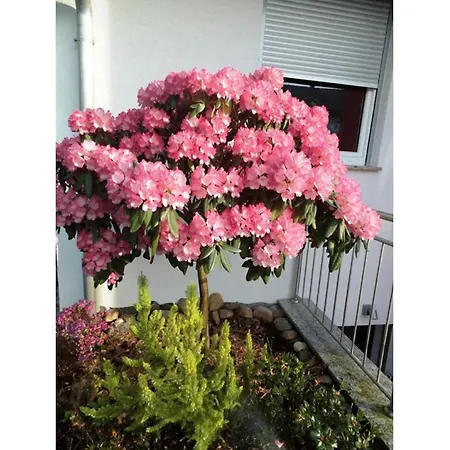 Landpension Wachtkopf *