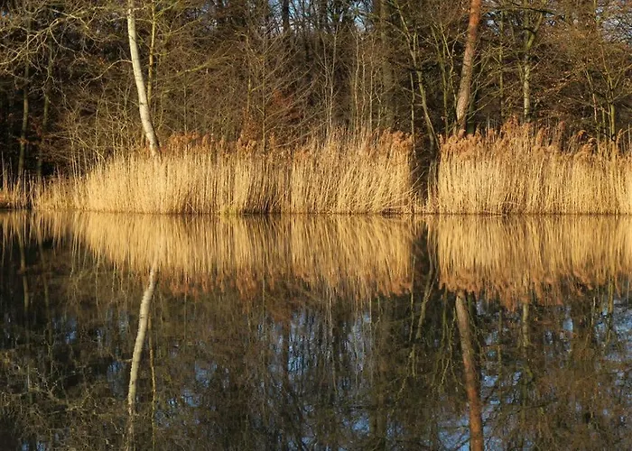 شقة Landpension Wachtkopf *