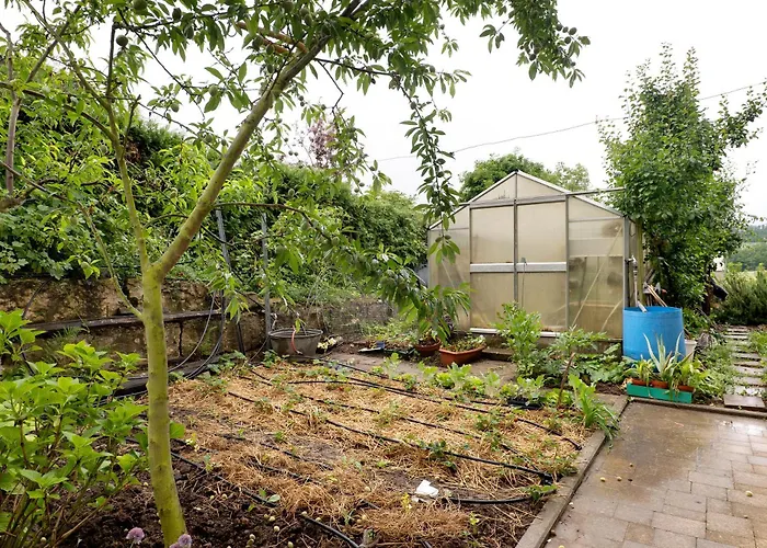 Landpension Wachtkopf شقة *